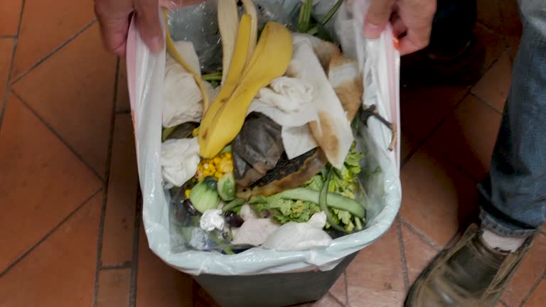 Best Residential Junk Removal  in Ansonia, OH